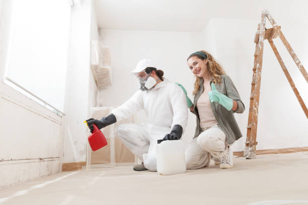 Best Mold Damage Restoration  in Mayo, SC